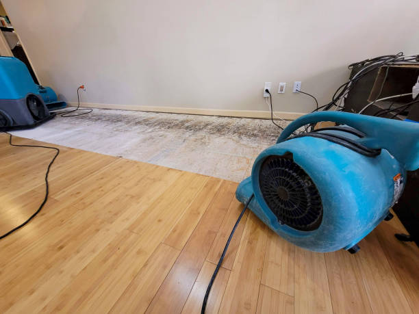 Professional Basement Flood Cleanup technician working in Cecil, WI
